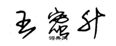 朱錫榮王蜜升草書個性簽名怎么寫