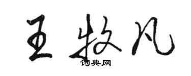 駱恆光王牧凡行書個性簽名怎么寫