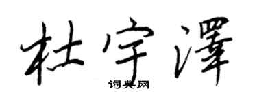 王正良杜宇澤行書個性簽名怎么寫