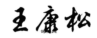 胡問遂王康松行書個性簽名怎么寫