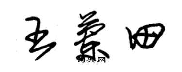 朱錫榮王蘭田草書個性簽名怎么寫