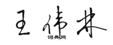 駱恆光王偉林草書個性簽名怎么寫