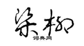 曾慶福梁柳草書個性簽名怎么寫