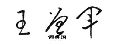 駱恆光王曾軍草書個性簽名怎么寫