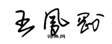朱錫榮王鳳剛草書個性簽名怎么寫