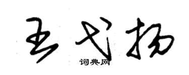 朱錫榮王弋揚草書個性簽名怎么寫