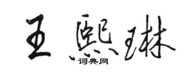 駱恆光王熙琳行書個性簽名怎么寫