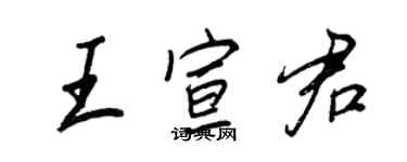 王正良王宣君行書個性簽名怎么寫