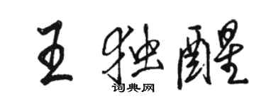 駱恆光王獨醒行書個性簽名怎么寫