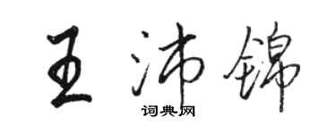 駱恆光王沛錦行書個性簽名怎么寫