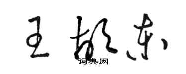 駱恆光王胡東草書個性簽名怎么寫