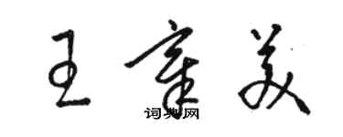 駱恆光王章美草書個性簽名怎么寫