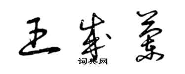 曾慶福王成蘭草書個性簽名怎么寫