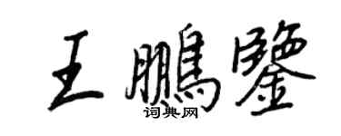 王正良王鵬鑒行書個性簽名怎么寫