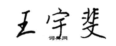王正良王宇斐行書個性簽名怎么寫