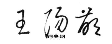 駱恆光王陽萌草書個性簽名怎么寫
