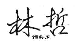 駱恆光林哲行書個性簽名怎么寫