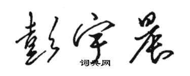 駱恆光彭宇晨草書個性簽名怎么寫