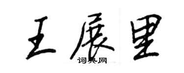 王正良王展里行書個性簽名怎么寫