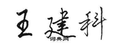 駱恆光王建科行書個性簽名怎么寫