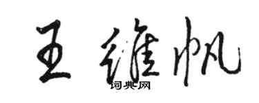 駱恆光王維帆行書個性簽名怎么寫