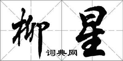 胡問遂柳星行書怎么寫