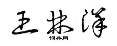 曾慶福王林洋草書個性簽名怎么寫