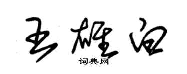 朱錫榮王雄白草書個性簽名怎么寫