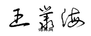 曾慶福王叢海草書個性簽名怎么寫