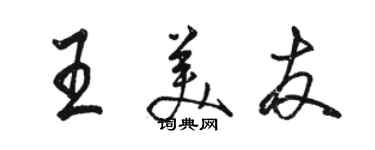 駱恆光王美友行書個性簽名怎么寫