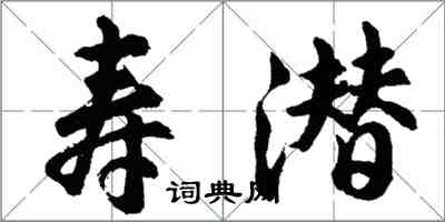 胡問遂壽潛行書怎么寫