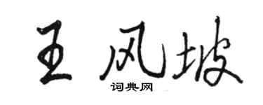 駱恆光王風坡行書個性簽名怎么寫