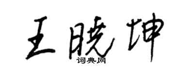 王正良王曉坤行書個性簽名怎么寫
