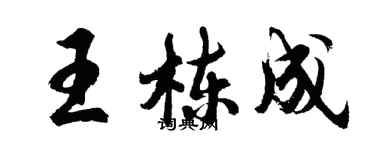 胡問遂王棟成行書個性簽名怎么寫