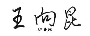 駱恆光王向昆行書個性簽名怎么寫