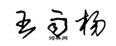 朱錫榮王雨楊草書個性簽名怎么寫