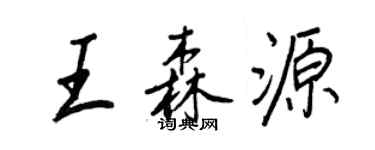 王正良王森源行書個性簽名怎么寫