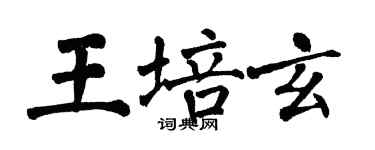 翁闓運王培玄楷書個性簽名怎么寫