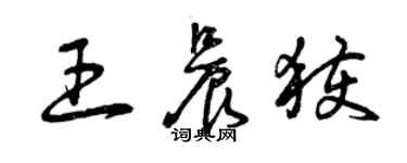 曾慶福王晨獲草書個性簽名怎么寫