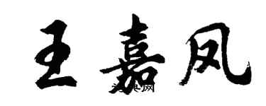 胡問遂王嘉鳳行書個性簽名怎么寫