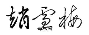 駱恆光趙雪梅草書個性簽名怎么寫