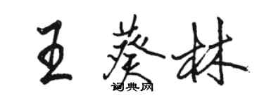 駱恆光王葵林行書個性簽名怎么寫