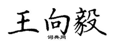 丁謙王向毅楷書個性簽名怎么寫