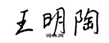 王正良王明陶行書個性簽名怎么寫