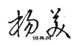 駱恆光楊美草書個性簽名怎么寫