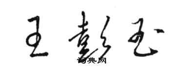 駱恆光王彭玉草書個性簽名怎么寫