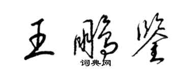 梁錦英王鵬鑒草書個性簽名怎么寫
