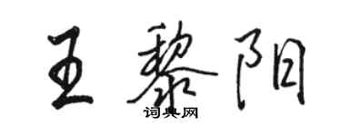 駱恆光王黎陽行書個性簽名怎么寫
