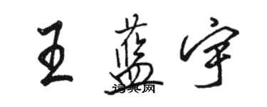 駱恆光王藍宇行書個性簽名怎么寫