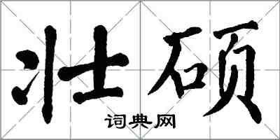 翁闓運壯碩楷書怎么寫